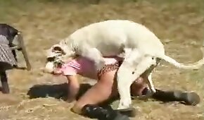 sexo de cachorro,fodendo com animais